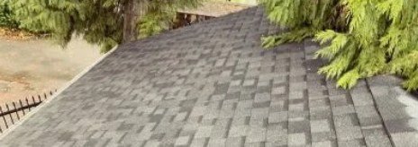 Roof after moss removal