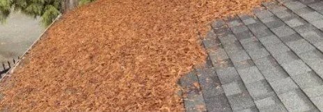 Mossy roof before cleaning