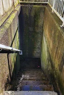 Basement steps before cleaning